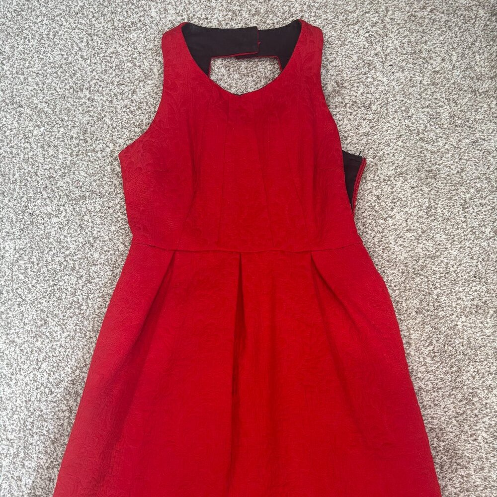 Red Holiday Dress